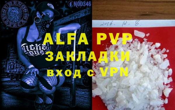 хмурый Белокуриха
