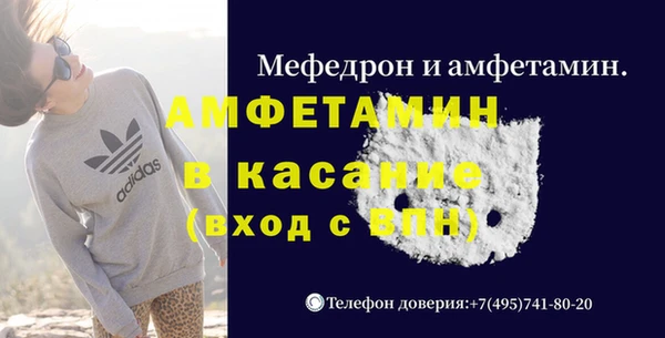 дмт Богданович