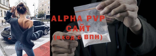 хмурый Белокуриха