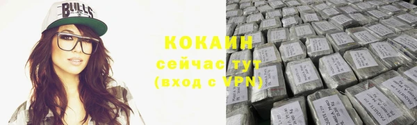 спиды Богородицк