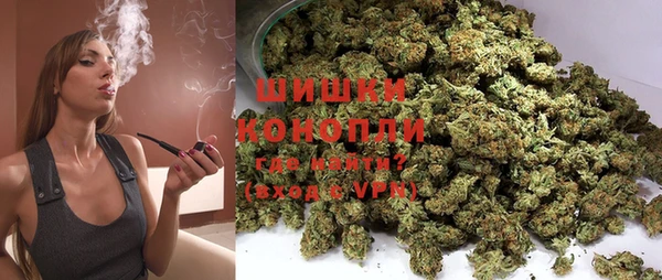 спиды Богородицк