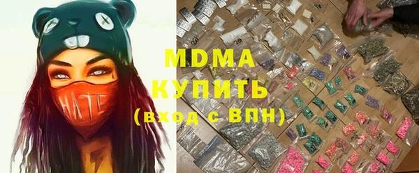 дмт Богданович
