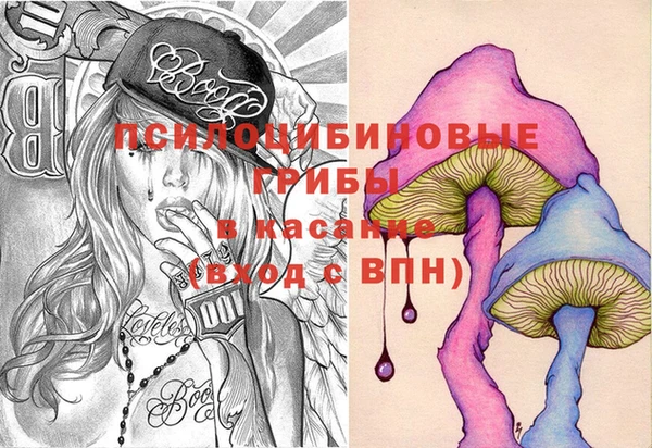 хмурый Белокуриха