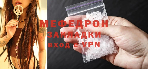 дмт Богданович